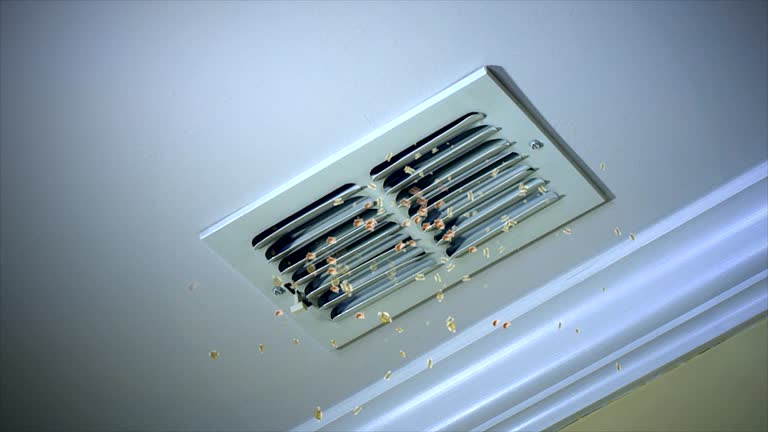 Best Dryer Vent Cleaning Services  in Kermit, TX